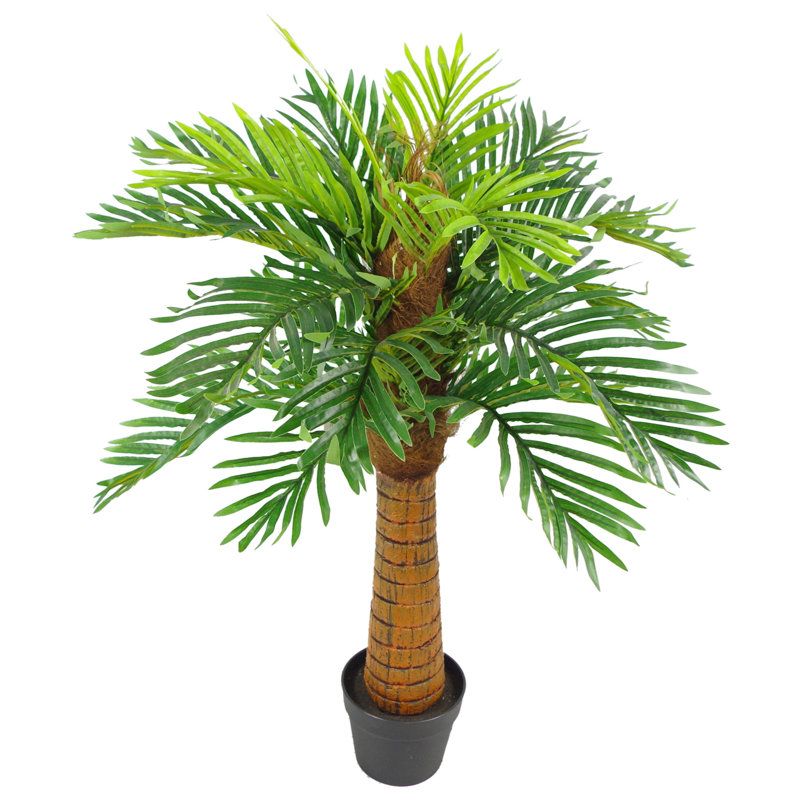 The Seasonal Aisle Palm Tree in Pot Wayfair.co.uk